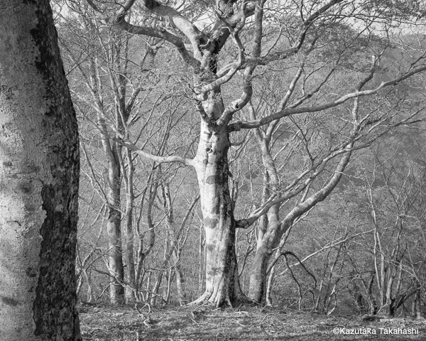 小山内大輔 Daisuke Osanai<br />小松透 Toru Komatsu<br />高橋和孝 Kazutaka Takahashi<br />吉井ただゆき Tadayuki Yoshii「MEMBERS’OPENING EXHIBITION“RED”VOL.02_3」