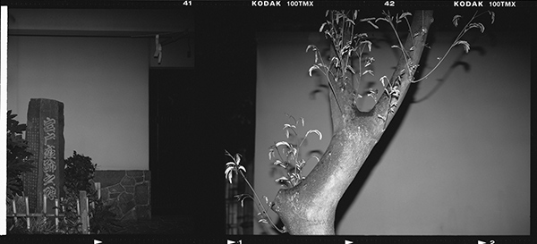 須田一政 Issei Suda「浅草_1」