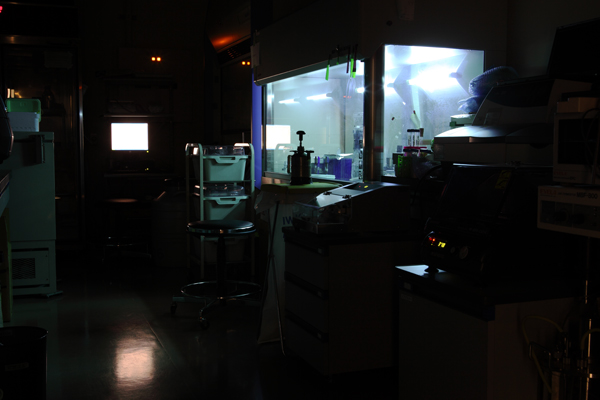 西村勇人 Hayato Nishimura「Thinkings_3」