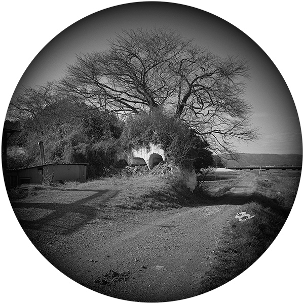 小松 透 Toru Komatsu「遠い渚　- a distant shore -_2」