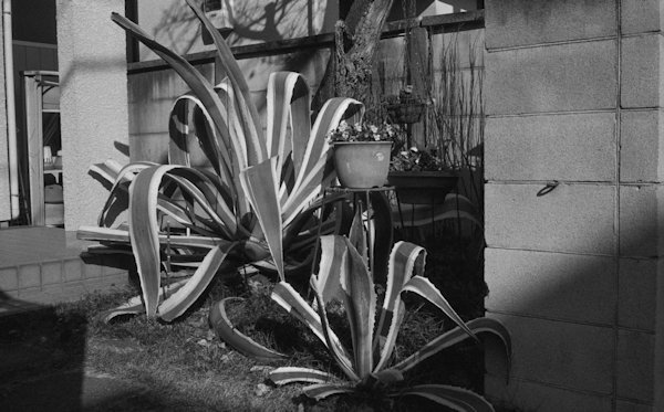 小山内大輔 Daisuke Osanai「matter_2」