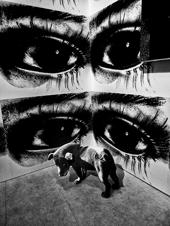 森山大道 Daido Moriyama「記録_2」