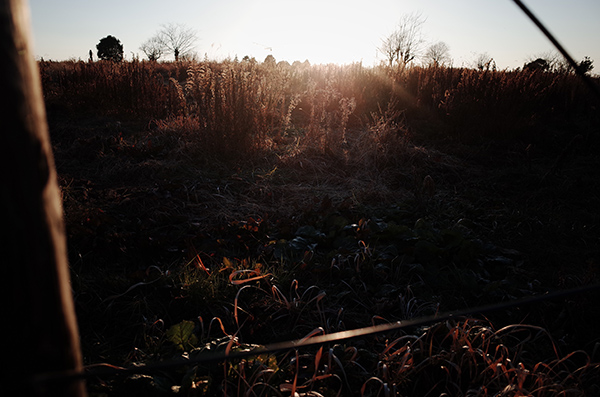 鎌田篤慎 Shigenori Kamata「saudade_1」