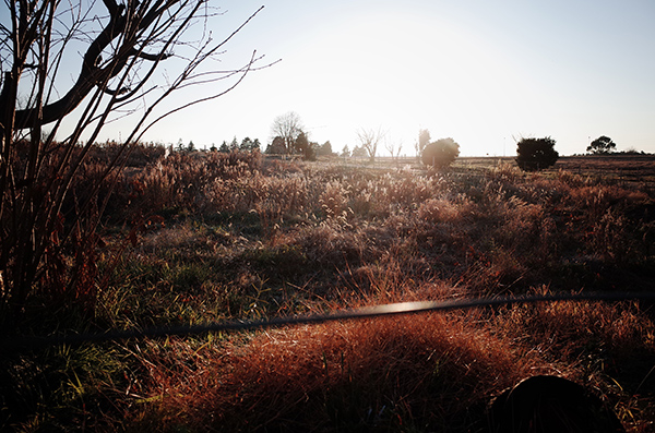 鎌田篤慎 Shigenori Kamata「saudade_2」