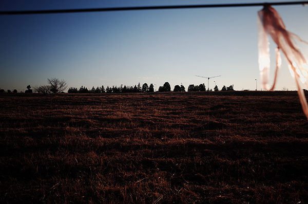 鎌田篤慎 Shigenori Kamata「saudade_3」