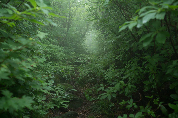 高橋和孝 Kazutaka Takahashi「こだまの領域_1」