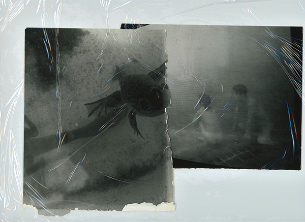 野村昌平 Shohhei Nomura「test print_4」