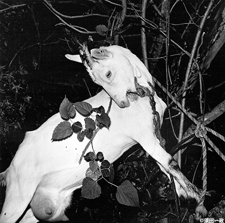 PlaceM 30周年記念企画「PlaceM コレクション展_2」