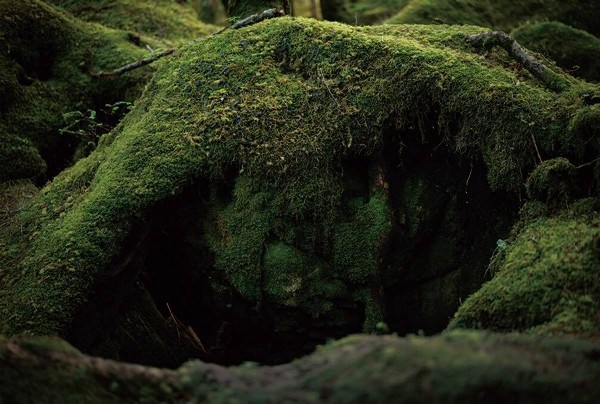 高橋和孝 Kazutaka Takahashi「こだまの領域_1」