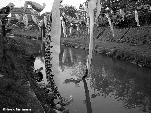 平当麻 Tagima Taira<br />高橋和孝 Kazutaka Takahashi<br />西村勇人 Hayato Nishimura<br />小島三幸 Miyuki Ojima「RED Photo Gallery 4周年記念 メンバー展_3」