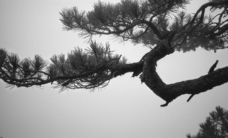 PlaceM企画 中国摄影六人展「人境·暗語_1」