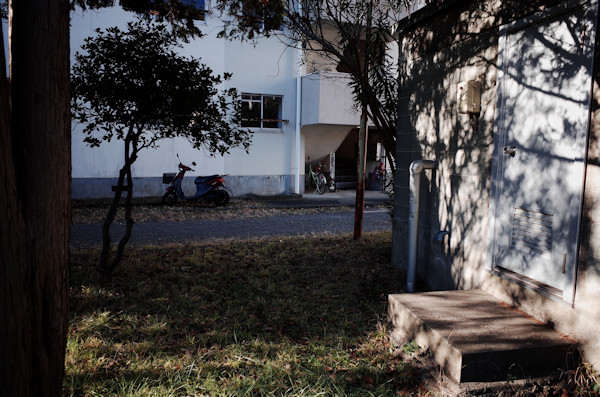 鎌田篤慎 Shigenori Kamata「saudade_3」