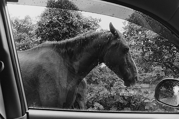 西村勇人 Hayato Nishimura「2000s_1」