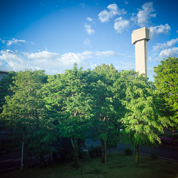 小松透 Toru Komatsu「GMX 041231 - 200507_1」