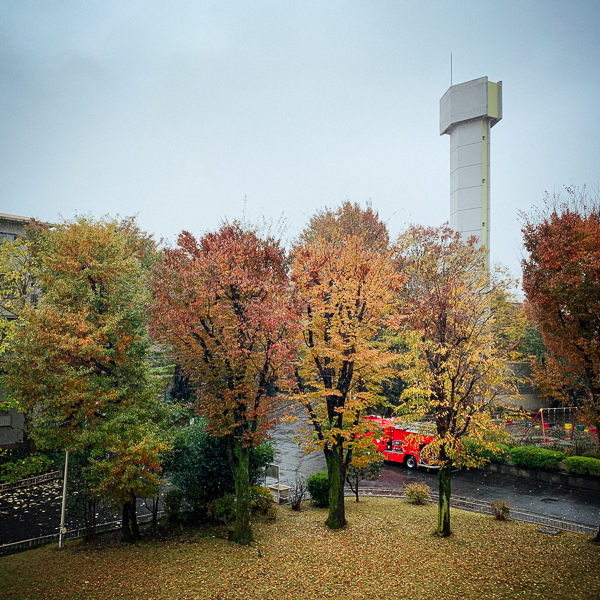 小松透 Toru Komatsu「GMX 041231 - 200507_2」