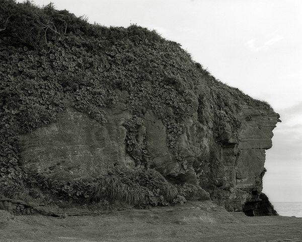 西岡広聡 Hirotoshi Nishioka「Homecoming_1」