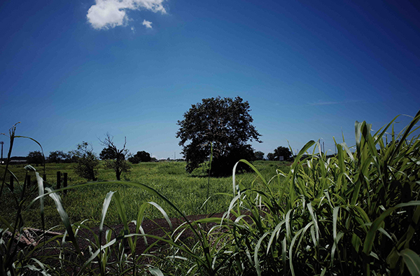 鎌田篤慎 Shigenori Kamata「saudade_3」