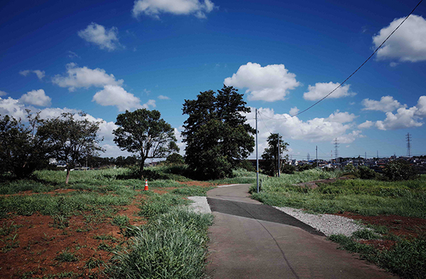 鎌田篤慎 Shigenori Kamata「saudade_1」