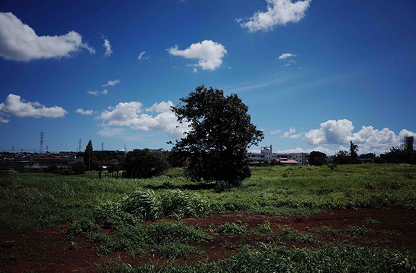 鎌田篤慎 Shigenori Kamata「saudade_2」
