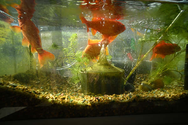 小島三幸 Miyuki Ojima「at home_1」