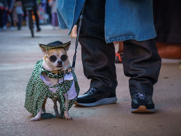 佐藤圭司 Keiji Sato「東京Days_1」