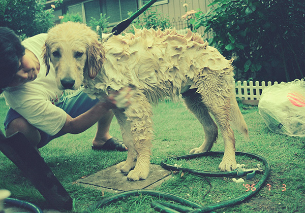 小島三幸 Miyuki Ojima「記録 〜myself〜_3」