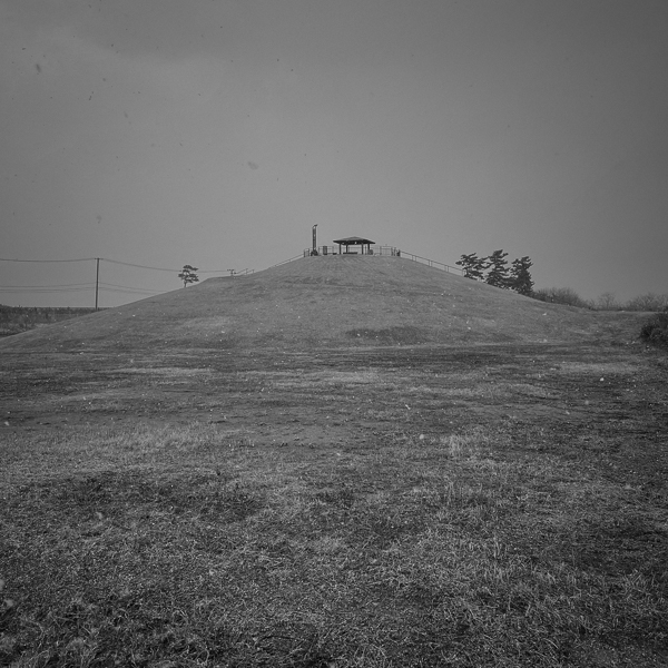 小松透 Toru Komatsu「A New Hope_1」