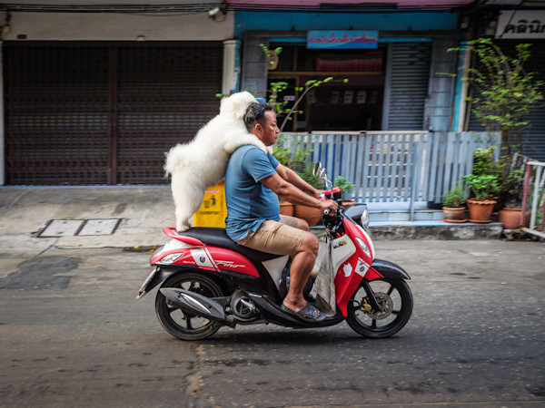 佐藤圭司 Keiji Sato「サバイサバーイ_1」