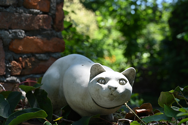 小島三幸 Miyuki Ojima「ハレ ときどき_1」