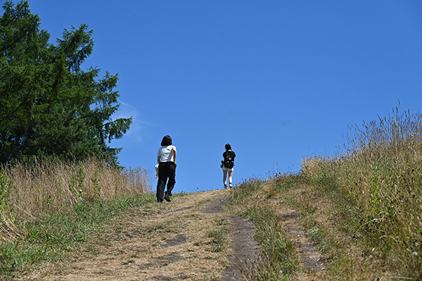 小島三幸 Miyuki Ojima「ハレ ときどき_2」
