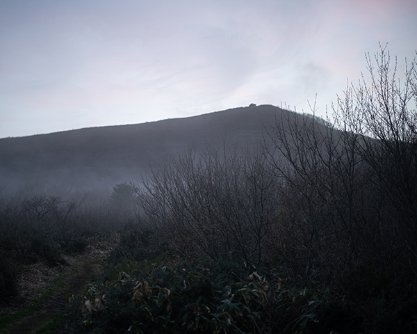 高橋和孝 Kazutaka Takahashi「こだまの領域 Sylvan Spirit_1」
