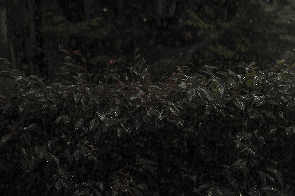 ハラヨウコ Yoko Hara「翠雨_1」