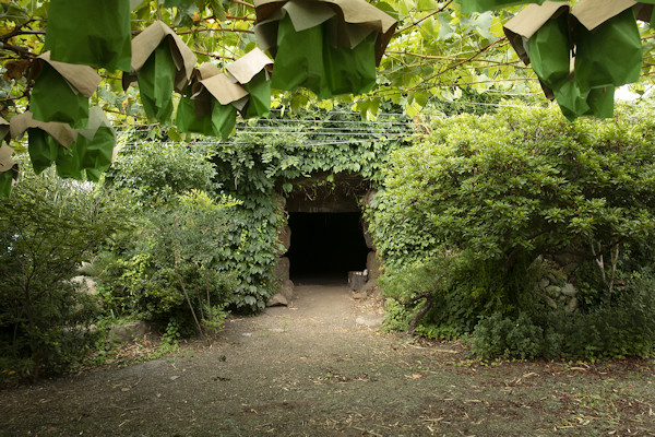 西村勇人 Hayato Nishimura「Mounds_1」