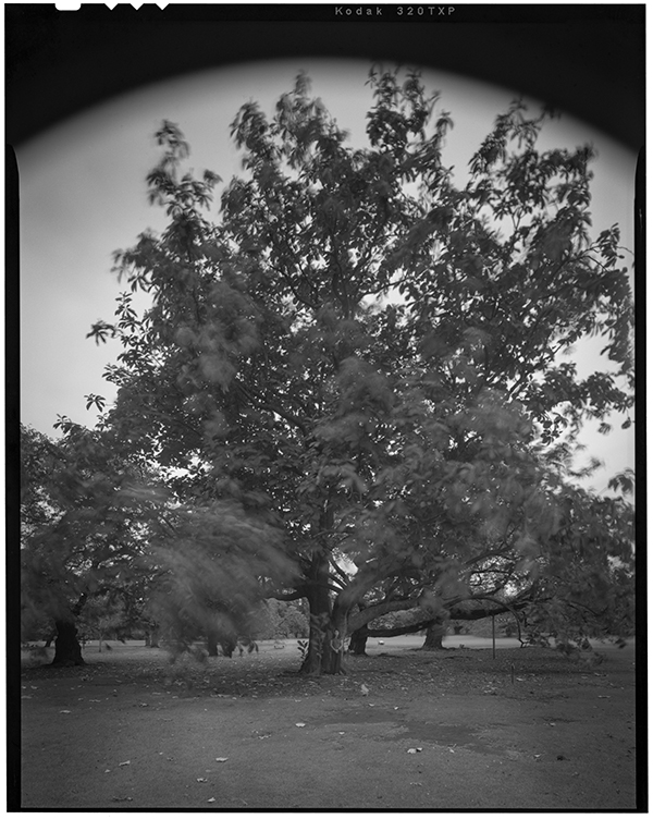 小松透 Toru Komatsu「Still Alive 2022_1」