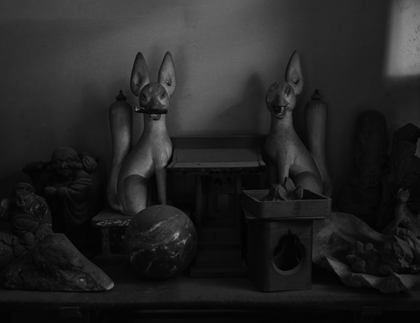 瀬戸正人 Masato Seto「秘密の庭<br />　 (年末年始を挟んで12/19～1/8)_1」