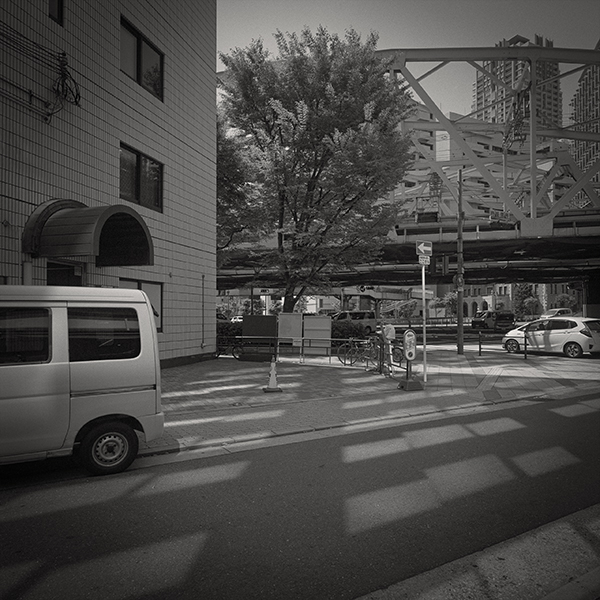 小松透 Toru Komatsu「nature morte_1」