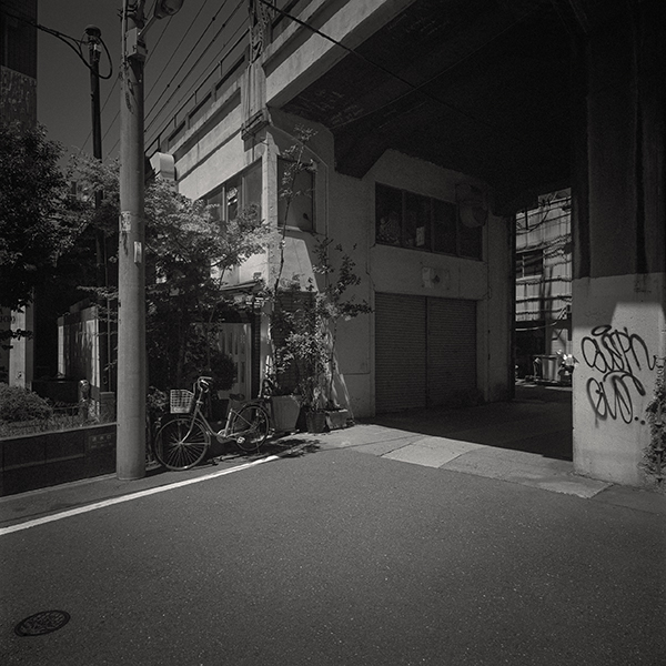 小松透 Toru Komatsu「nature morte_2」