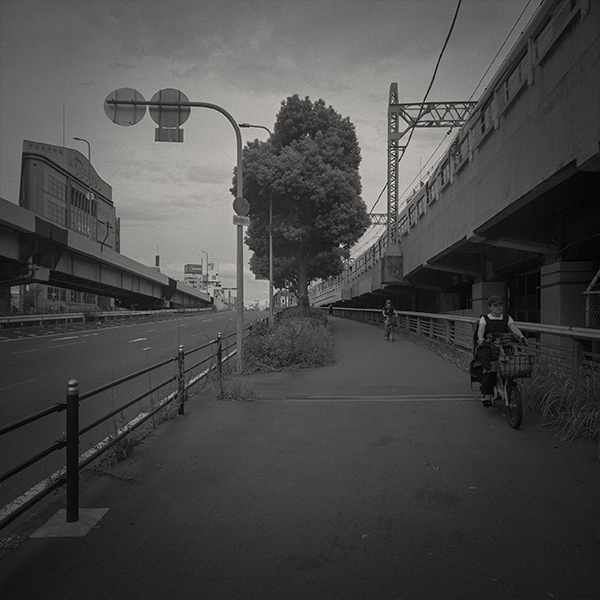 小松透 Toru Komatsu「nature morte_3」