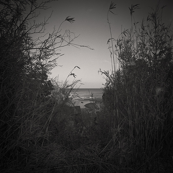 小松透 Toru Komatsu「new horizon_1」