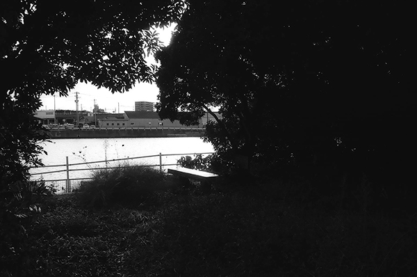 蒲原裕 Yu Kamohara「不整脈 II_1」