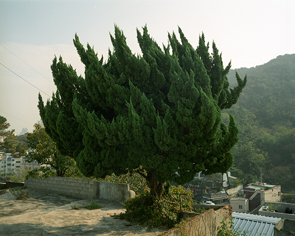 吉田耕司 Koji Yoshida「続々・月の欠片_1」