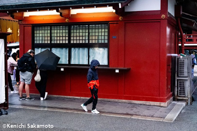 坂本謙一 Kenichi Sakamoto<br />ハワード・ワイツマン<br />　Howard Weitzman<br />佐藤圭司 Keiji Sato<br />鷲尾倫夫 Michio Washio「RED Photo Gallery 9周年記念 メンバー展<br />1st WEEK_1」