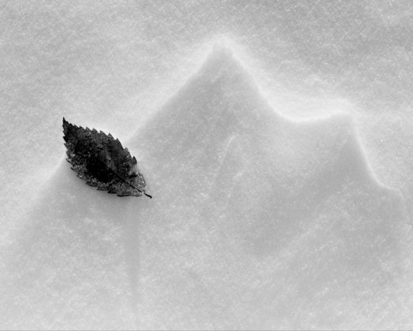 gallery176交流展<br />齋藤広幸「KALOS_1」