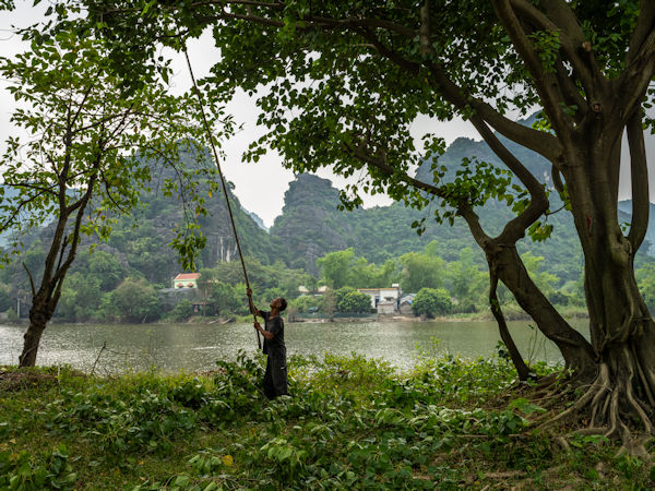 佐藤圭司 Keiji Sato「from ハノイ_4」