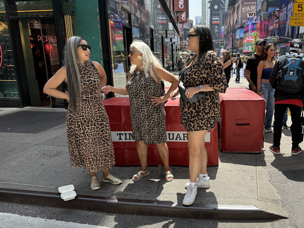 ハワード・ワイツマン<br />　Howard Weitzman「Ohh! New York_1」