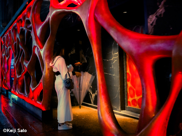 小松透 Toru Komatsu<br />佐藤圭司 Keiji Sato<br />佐藤充 Mitsuru Sato<br />鷲尾倫夫 Michio Washio「RED Photo Gallery 10周年記念 メンバー展<br />1st WEEK_2」