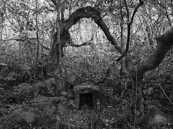 高橋和孝 Kazutaka Takahashi「かむなび」